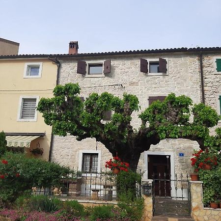 הוילה בוג'ה Casa Girasole מראה חיצוני תמונה