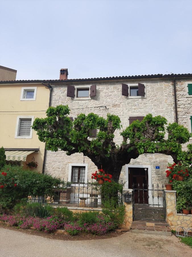 הוילה בוג'ה Casa Girasole מראה חיצוני תמונה