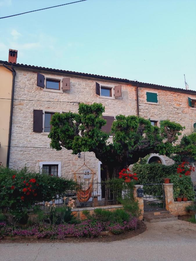 הוילה בוג'ה Casa Girasole מראה חיצוני תמונה