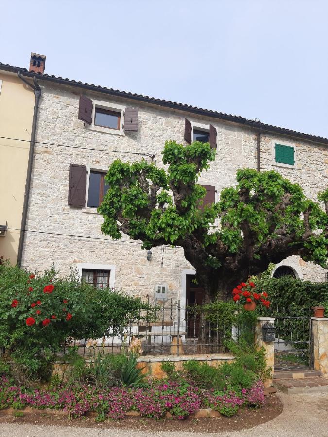 הוילה בוג'ה Casa Girasole מראה חיצוני תמונה